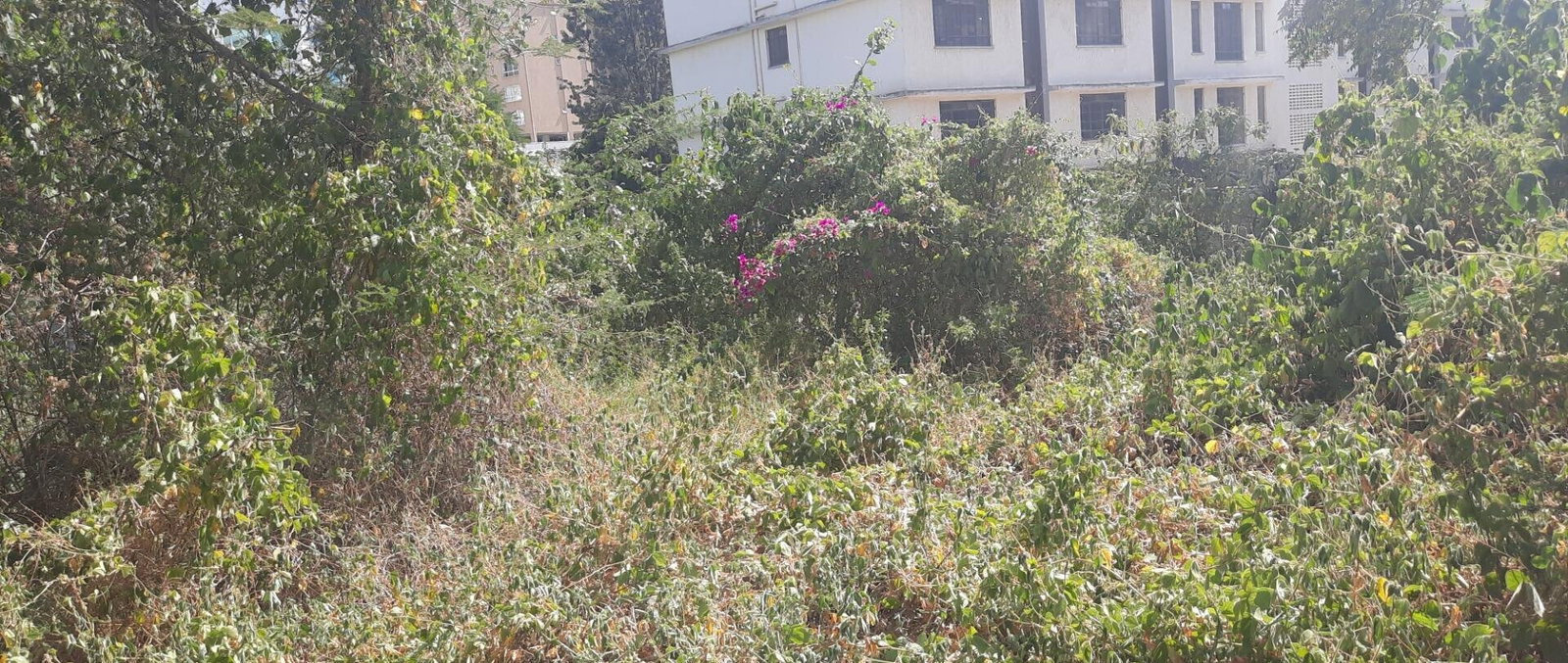 1.1 Acre Westlands Plot with Parking