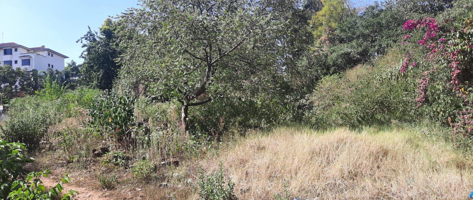 1.1 Acre Westlands Plot with Parking