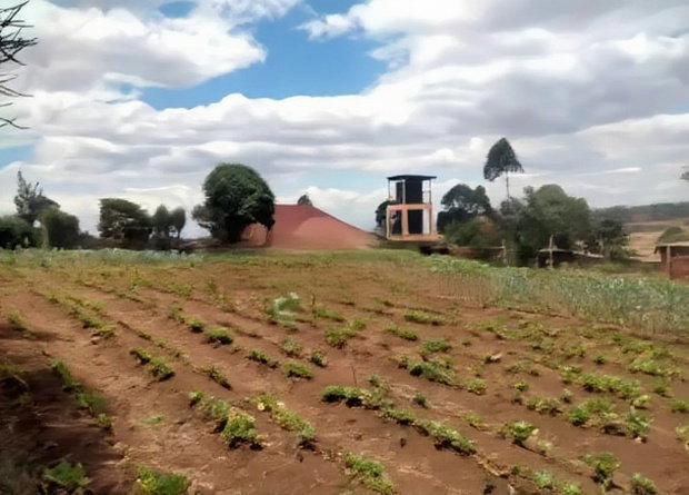 Prime 1/4 Plot for Sale in Kibiko