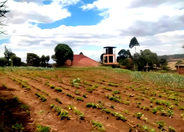 Prime 1/4 Plot for Sale in Kibiko