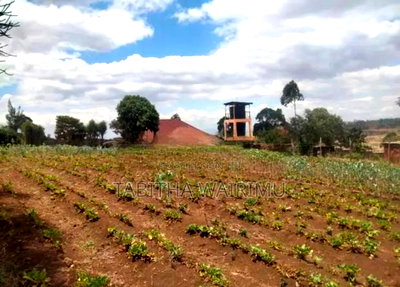 Prime 1/4 Plot for Sale in Kibiko - Image 1