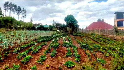 Prime 1/4 Plot for Sale in Kibiko - Image 4