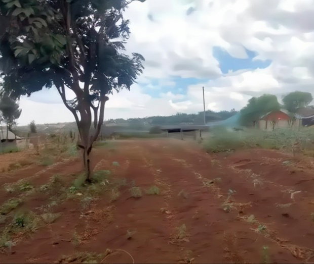Prime 1/4 Plot for Sale in Kibiko