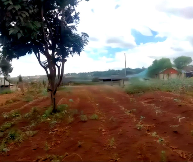 Prime 1/4 Plot for Sale in Kibiko