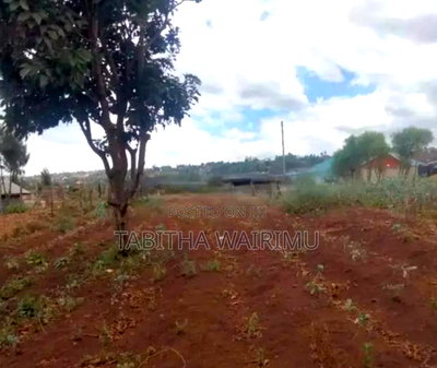 Prime 1/4 Plot for Sale in Kibiko - Image 3