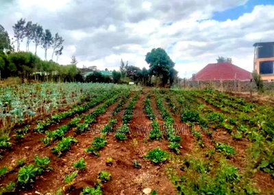 Prime 1/4 Plot for Sale in Kibiko - Image 2
