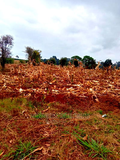 Plot for Sale at Kirigiti Riabai - Image 3