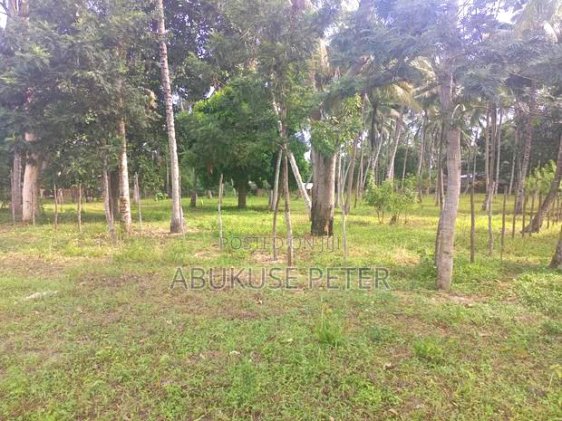 Plot for Sale