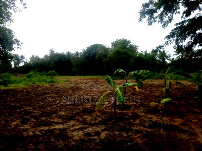 Plot for Sale - Image 1