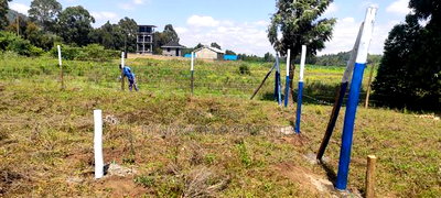 Ready to Build Plots for Sale - Kikuyu (Kamangu) - Image 13