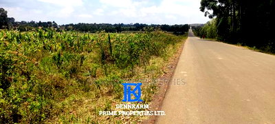 Ready to Build Plots for Sale - Kikuyu (Kamangu) - Image 9