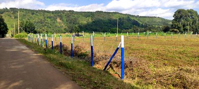 Ready to Build Plots for Sale - Kikuyu (Kamangu) - Image 11