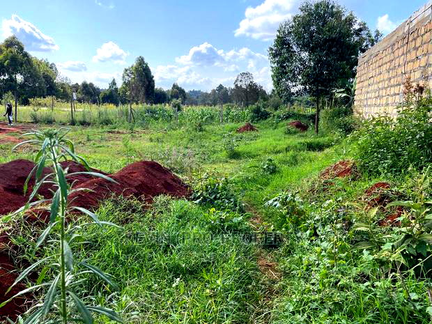 Prime Plot for Sale in Kikuyu, Ondiri Kiambu County(0.075ha)