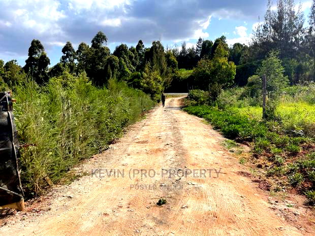 Prime Plot for Sale in Kikuyu, Ondiri Kiambu County(0.075ha)