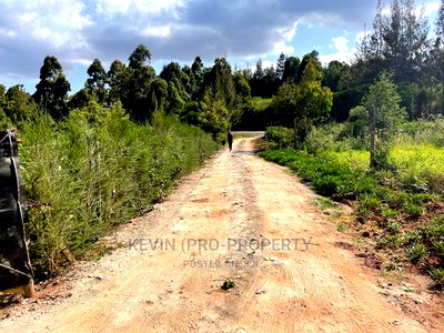 Prime Plot for Sale in Kikuyu, Ondiri Kiambu County(0.075ha) - Image 3