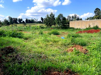 Prime Plot for Sale in Kikuyu, Ondiri Kiambu County(0.075ha) - Image 7