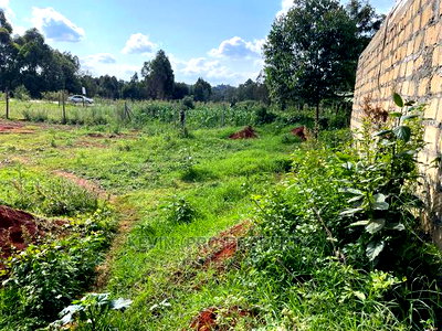 Prime Plot for Sale in Kikuyu, Ondiri Kiambu County(0.075ha) - Image 10