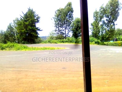 Nyeri Ngaini - Image 3