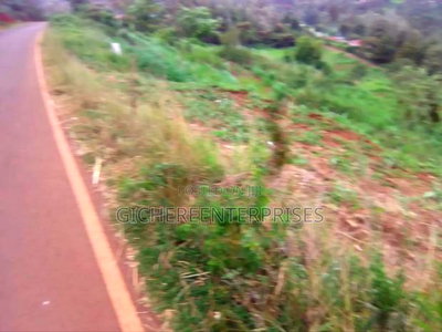 Nyeri Ngaini - Image 1