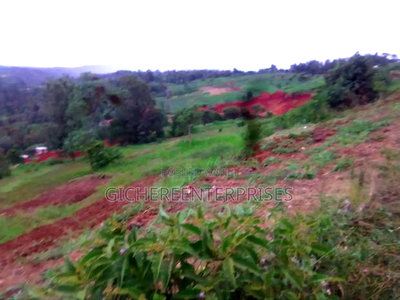 Nyeri Ngaini - Image 2