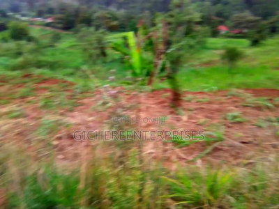 Nyeri Ngaini - Image 5