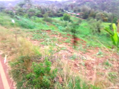 Nyeri Ngaini - Image 4