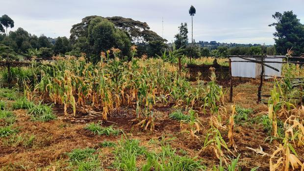 Kikuyu Kerwa Prime and Affordable Plots