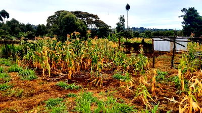 Kikuyu Kerwa Prime and Affordable Plots - Image 2