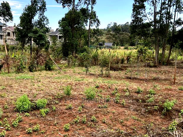 Prime Residential Plot for Sale in Gikambura.