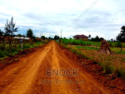 1/4acre Land for Sale in Outspan - Ancilla - Image 2