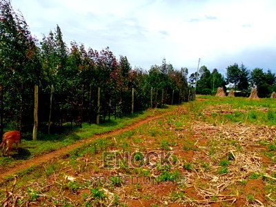 1/4acre Land for Sale in Outspan - Ancilla - Image 1