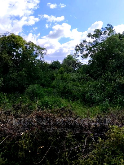 2acre for Sale - Image 1