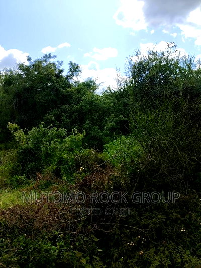 2acre for Sale - Image 2