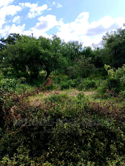 2acre for Sale - Image 3