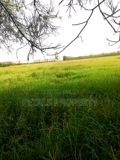 34 Acres Prime Piece of Land Offered for Sale in Isinya - Image 3