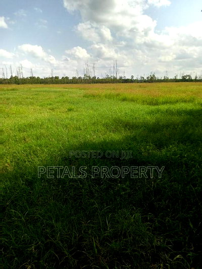 34 Acres Prime Piece of Land Offered for Sale in Isinya - Image 2