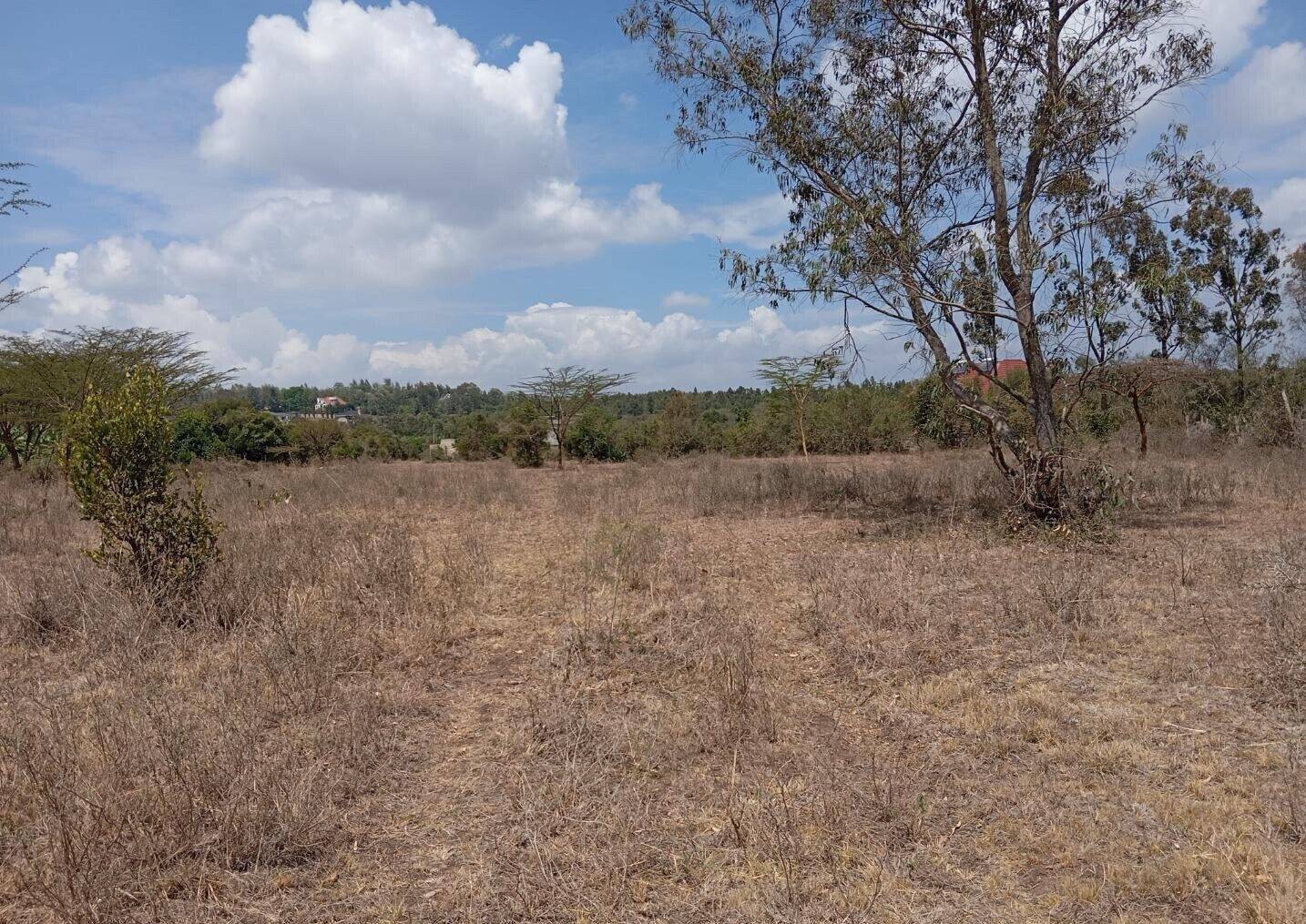 2-Acre Plot for KSh 25M