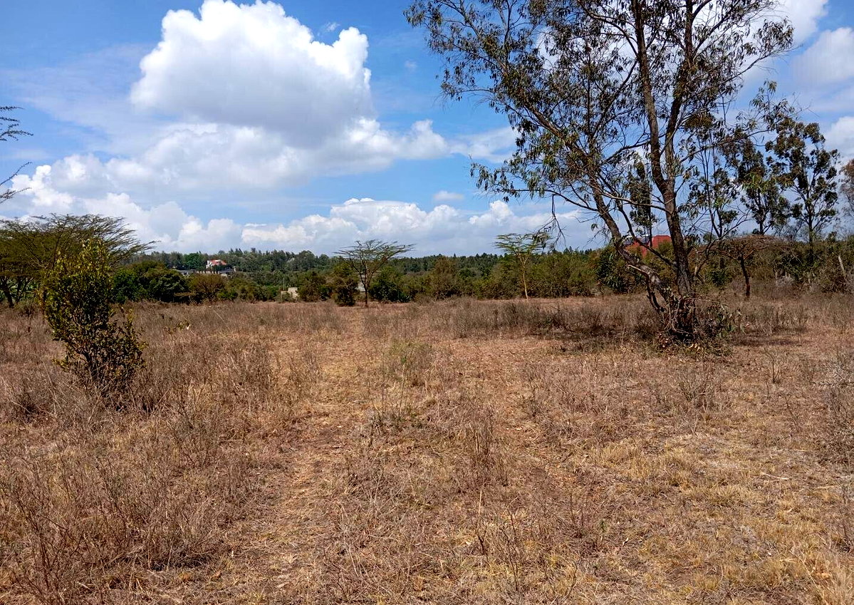 2-Acre Plot for KSh 25M