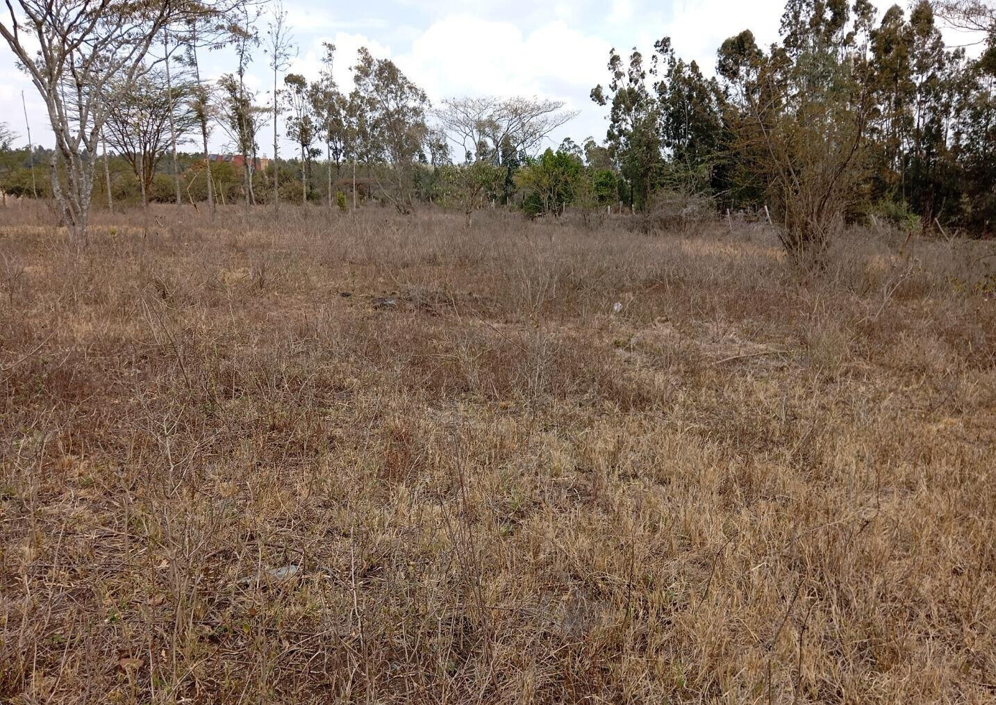 2-Acre Plot for KSh 25M