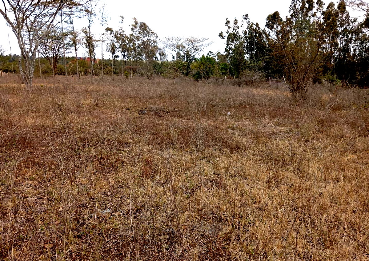 2-Acre Plot for KSh 25M