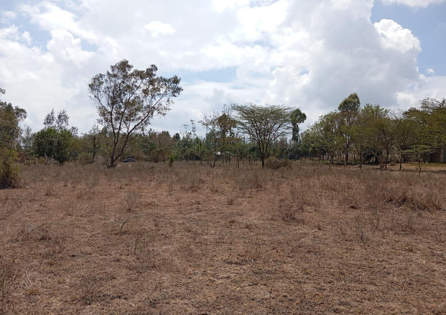 2-Acre Plot for KSh 25M