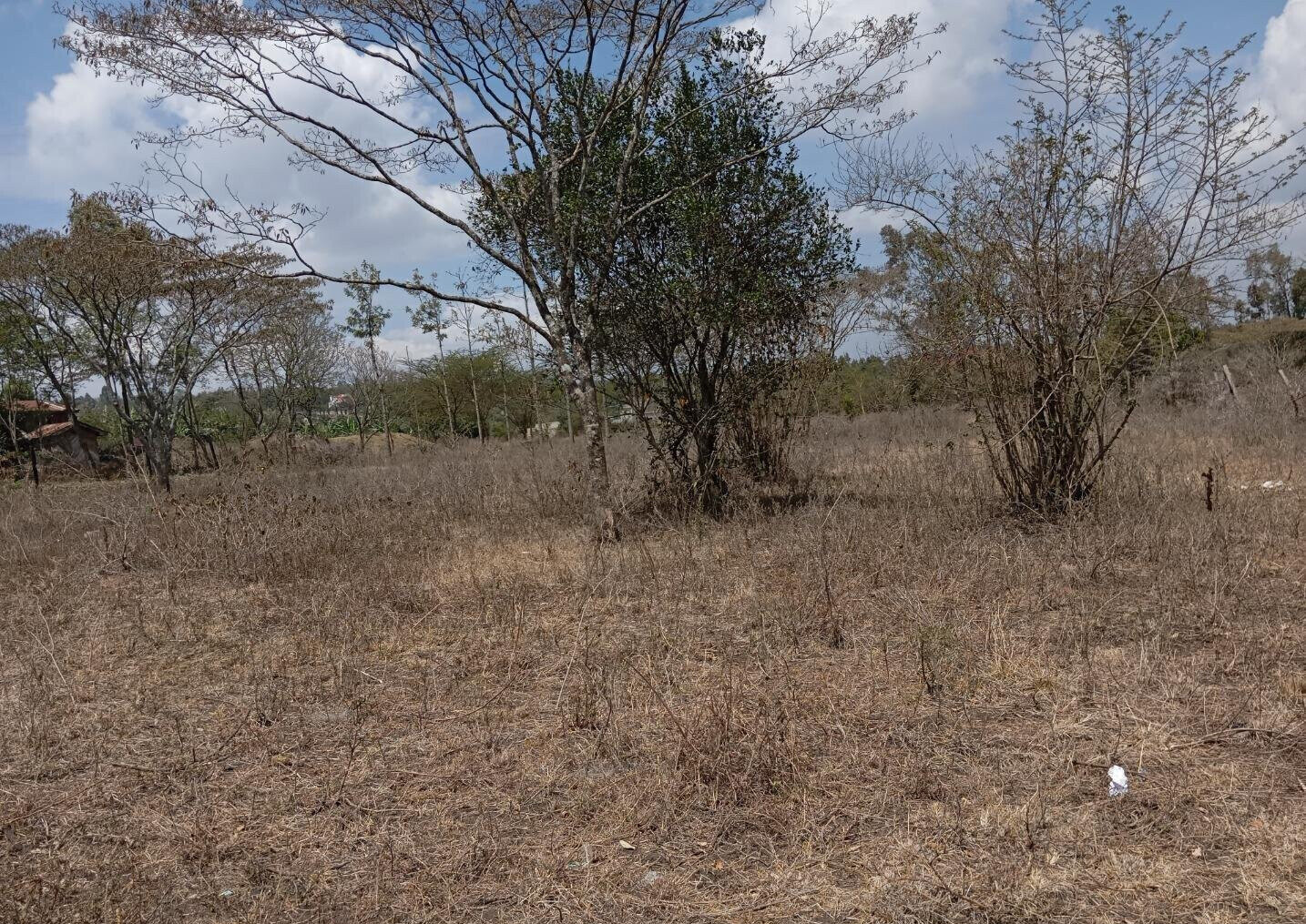 2-Acre Plot for KSh 25M