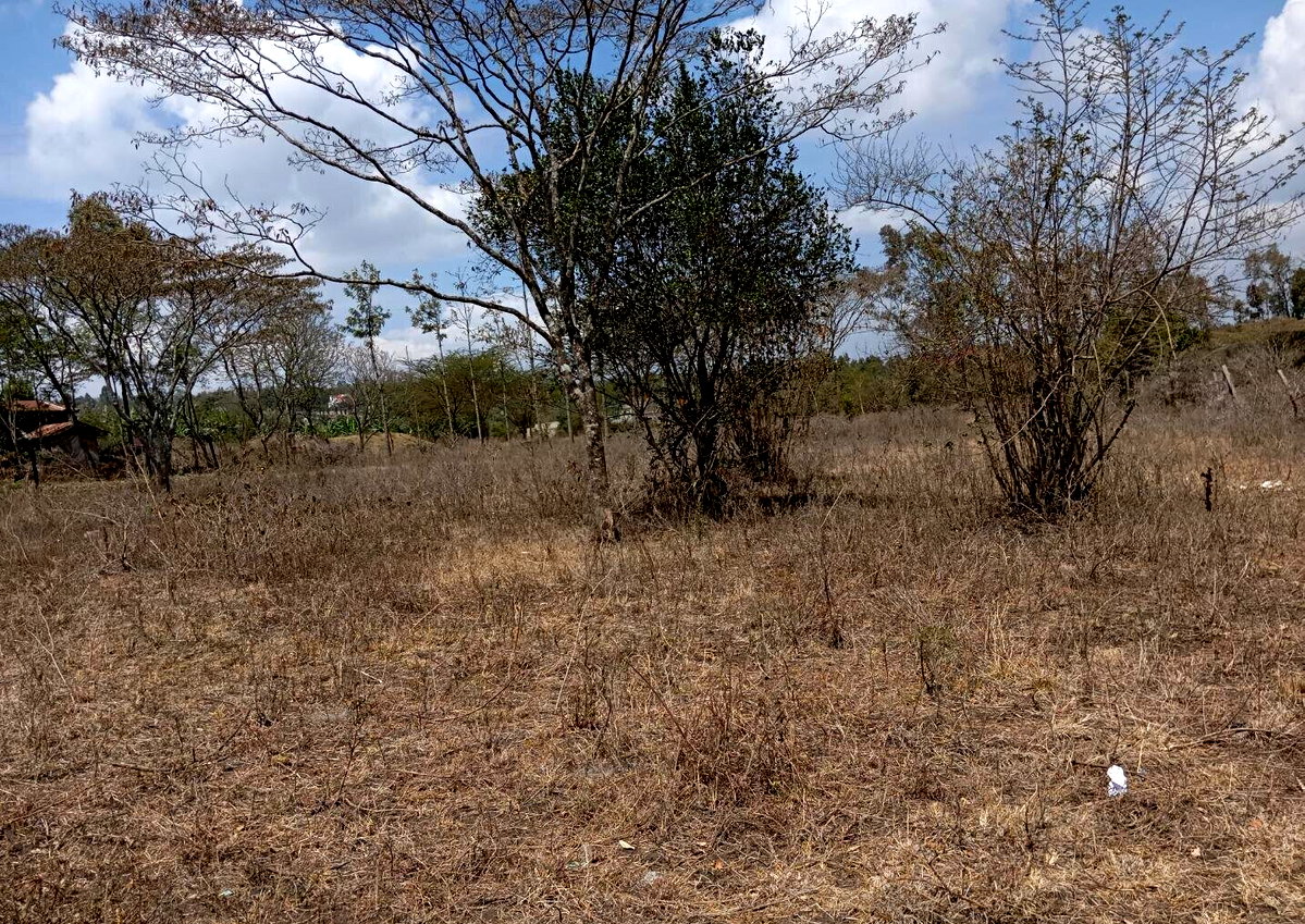 2-Acre Plot for KSh 25M