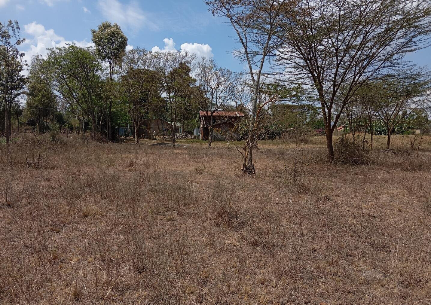 2-Acre Plot for KSh 25M