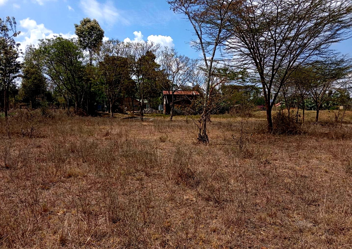 2-Acre Plot for KSh 25M
