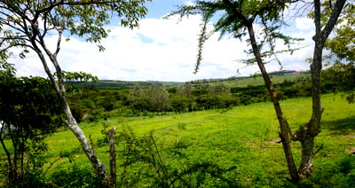 50x100 Garden Plot at KSh 700K