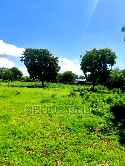 3acres 2nd Row Beach Plots Kilifi Bofa - Image 5