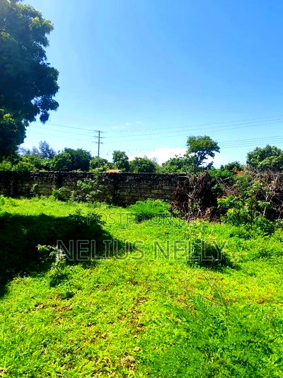 3acres 2nd Row Beach Plots Kilifi Bofa - Image 4