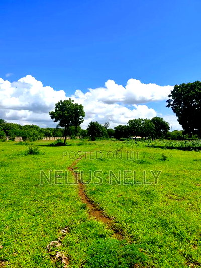 3acres 2nd Row Beach Plots Kilifi Bofa - Image 3