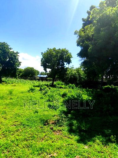 3acres 2nd Row Beach Plots Kilifi Bofa - Image 6